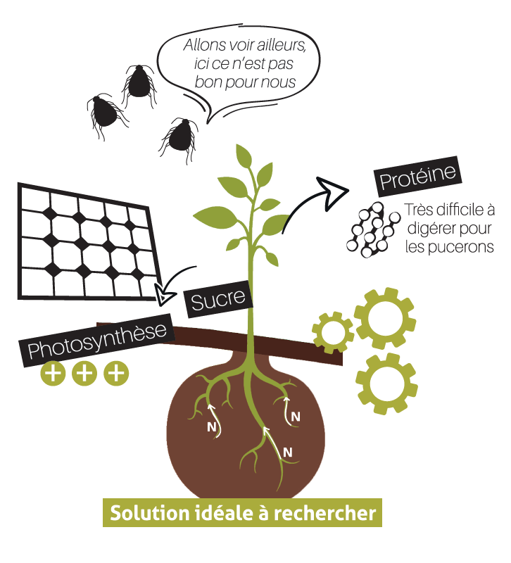 alternative-insecticides-3