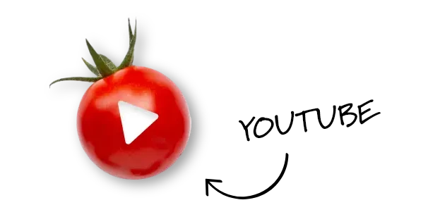 Suivre Vertal sur Youtube