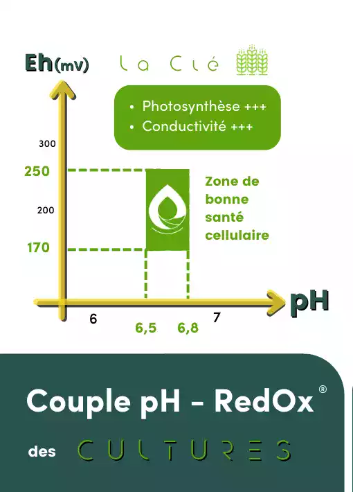Couple pH - RedOx pour cultures VERTAL