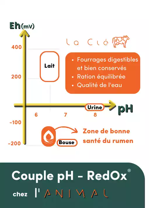 Couple pH - RedOx VERTAL pour animaux d'élevages