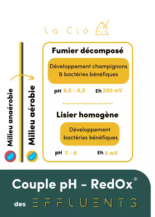 Couple pH - RedOx VERTAL pour les effluents
