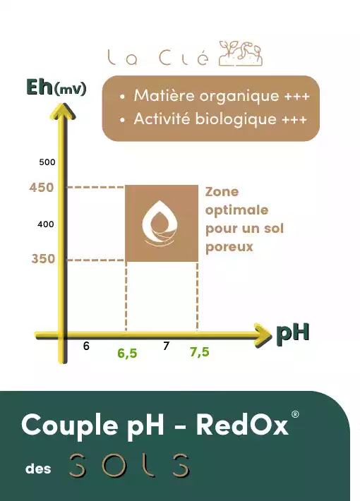 Couple pH - RedOx VERTAL pour les sols agricoles