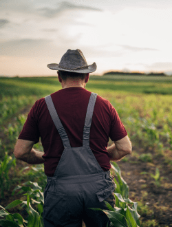 témoignage efficacité produits VERTA