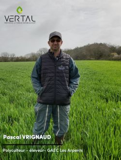 Témoignage PAscal Vrignaud VERTAL SOL