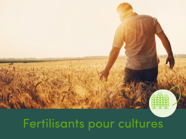 visuel-bloc-cross-gamme-sol (2)