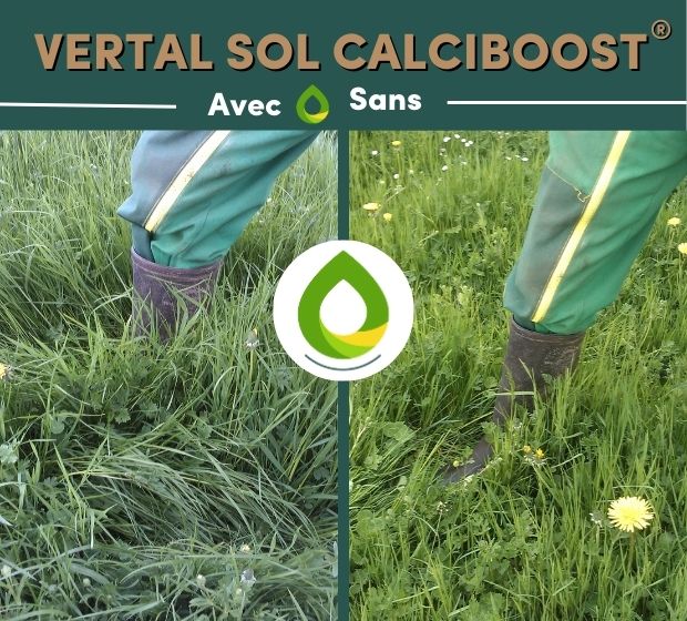 VERTAL-CALCIBOOST-avec-sans