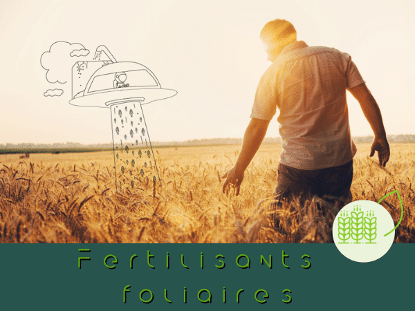 Fertilisants foliaires VERTAL