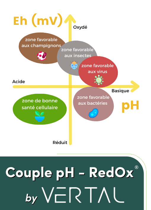 Couple pH - RedOx