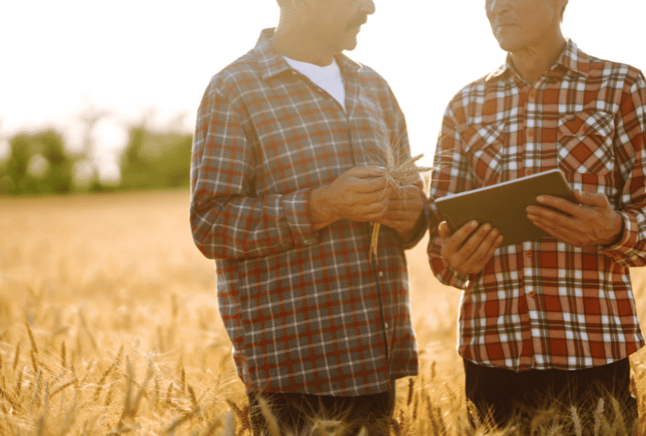 agriculteur-commercial-champs-blé-analyse-production