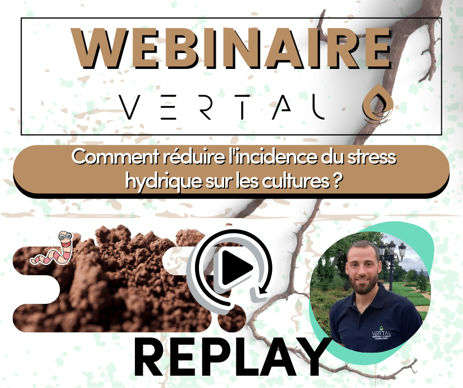 Replay Webinaire VERTAL