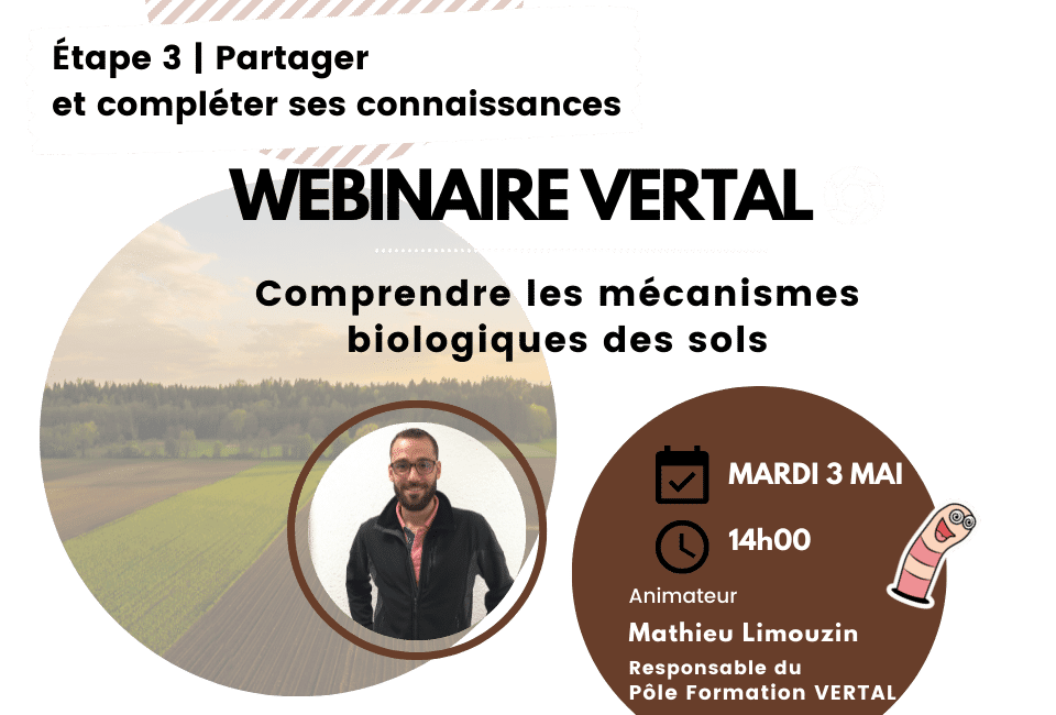 Etape3-completer-ses-connaissances-VERTAL-FORMATION
