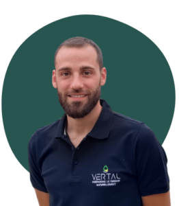 mathieu limouzin-Formation-VERTAL