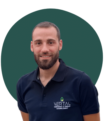 mathieu limouzin-Formation-VERTAL