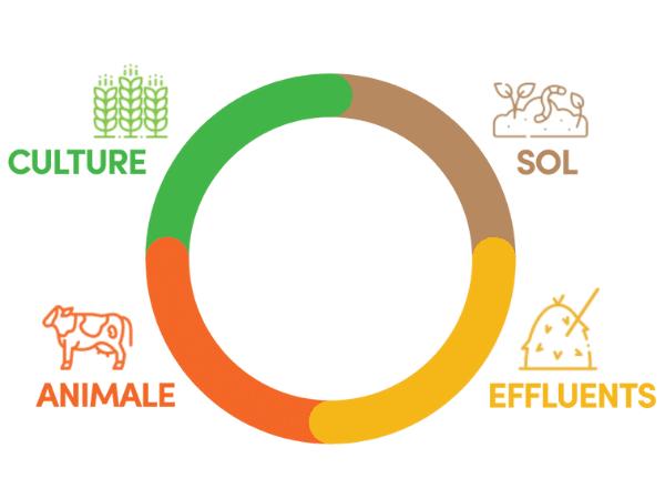 Thématique Formation VERTAL AGRO EVOLUTION