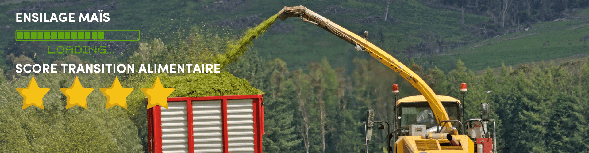 Ensilage maïs-productivité et transition alimentaire bovins