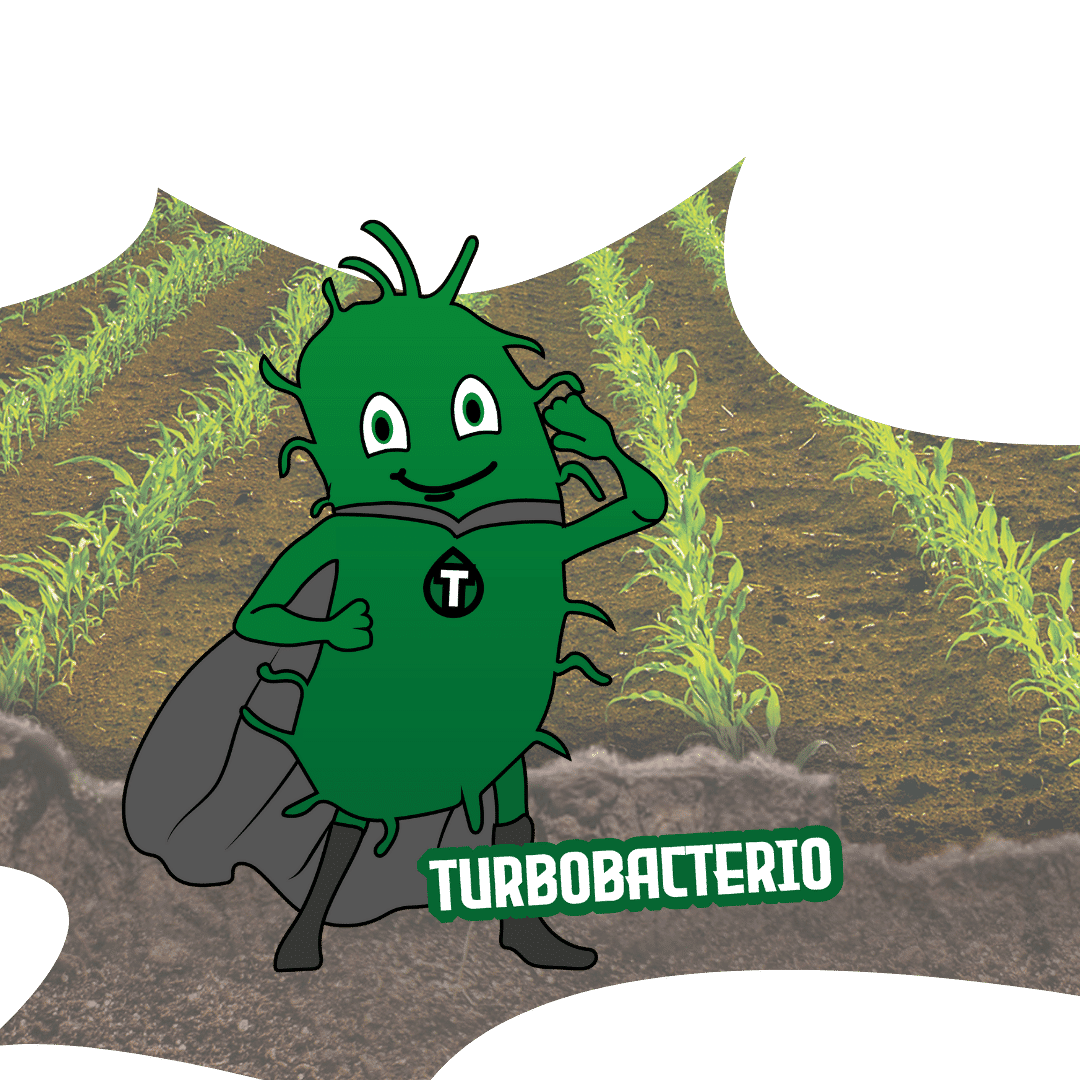 CAMPAGNE SOL VERTAL TURBOBACTERIO