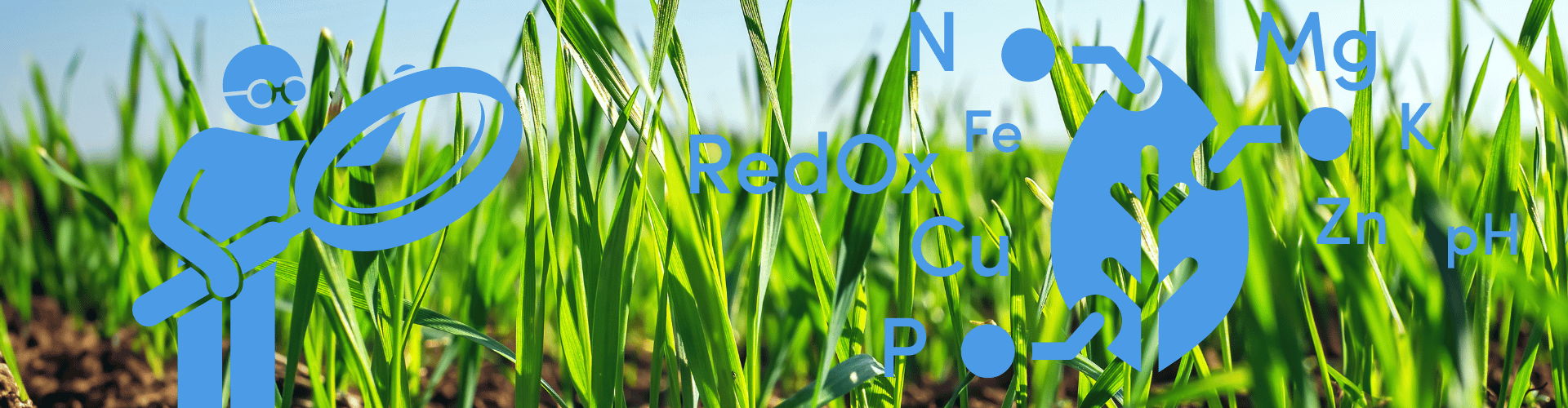 blog-vertal-nutriscope2