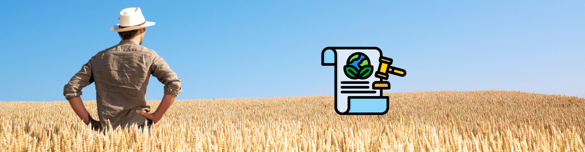 baniere-blog-vertal-naviguer-dans-le-dedale-reglementaire-des-fertilisants Banière article blog VERTAL | Naviguer dans le dédale réglementaire