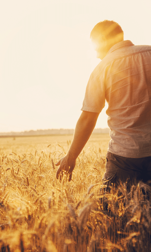 formulaire-vertal-fertilisants