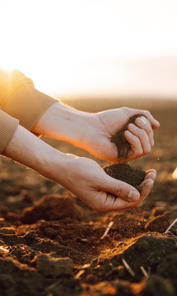 formulaire-vertal-sol