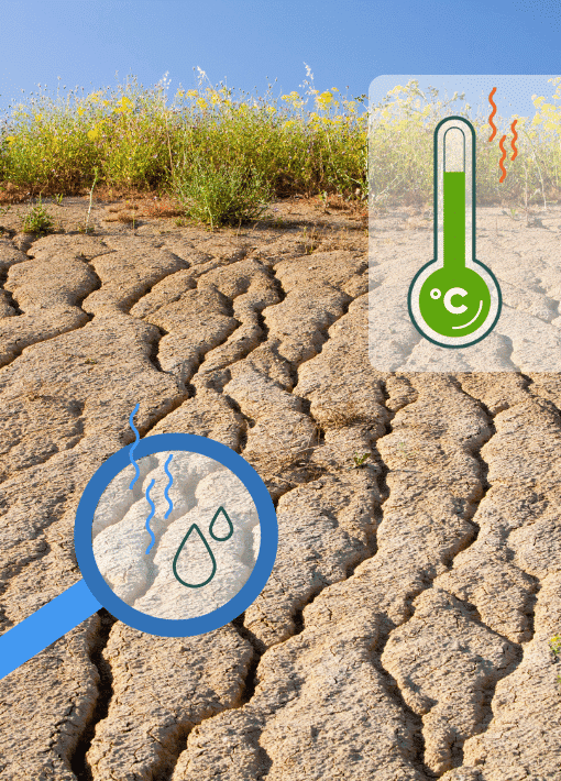 image-blog-vertal-sol-nu