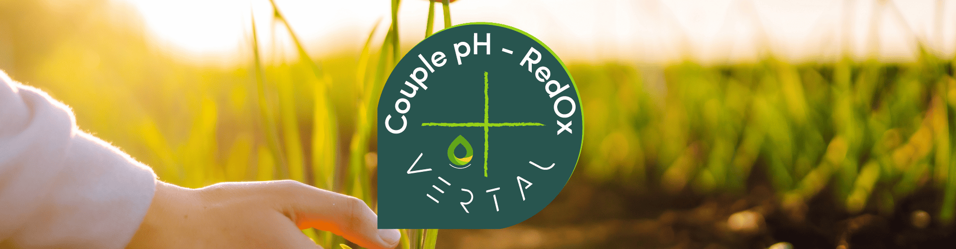 banniere-blog-vertal-couple-ph-redox