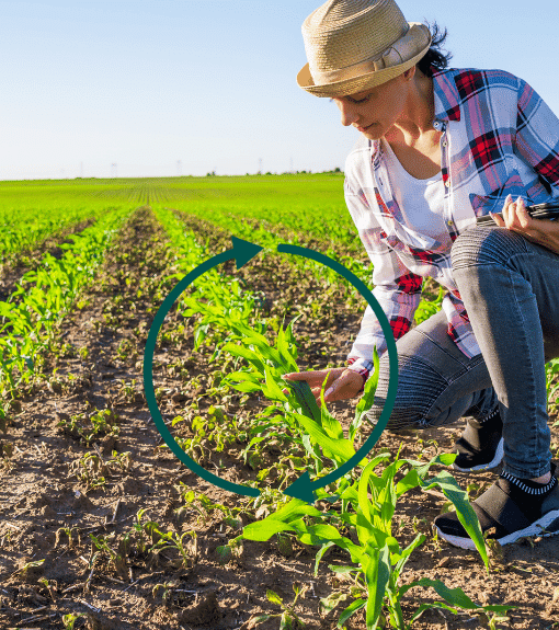 mesurer-le-couple-ph-redox-vertal-blog